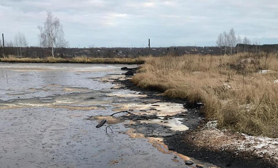 В Нижегородской области проведут исследования накопленных свалок