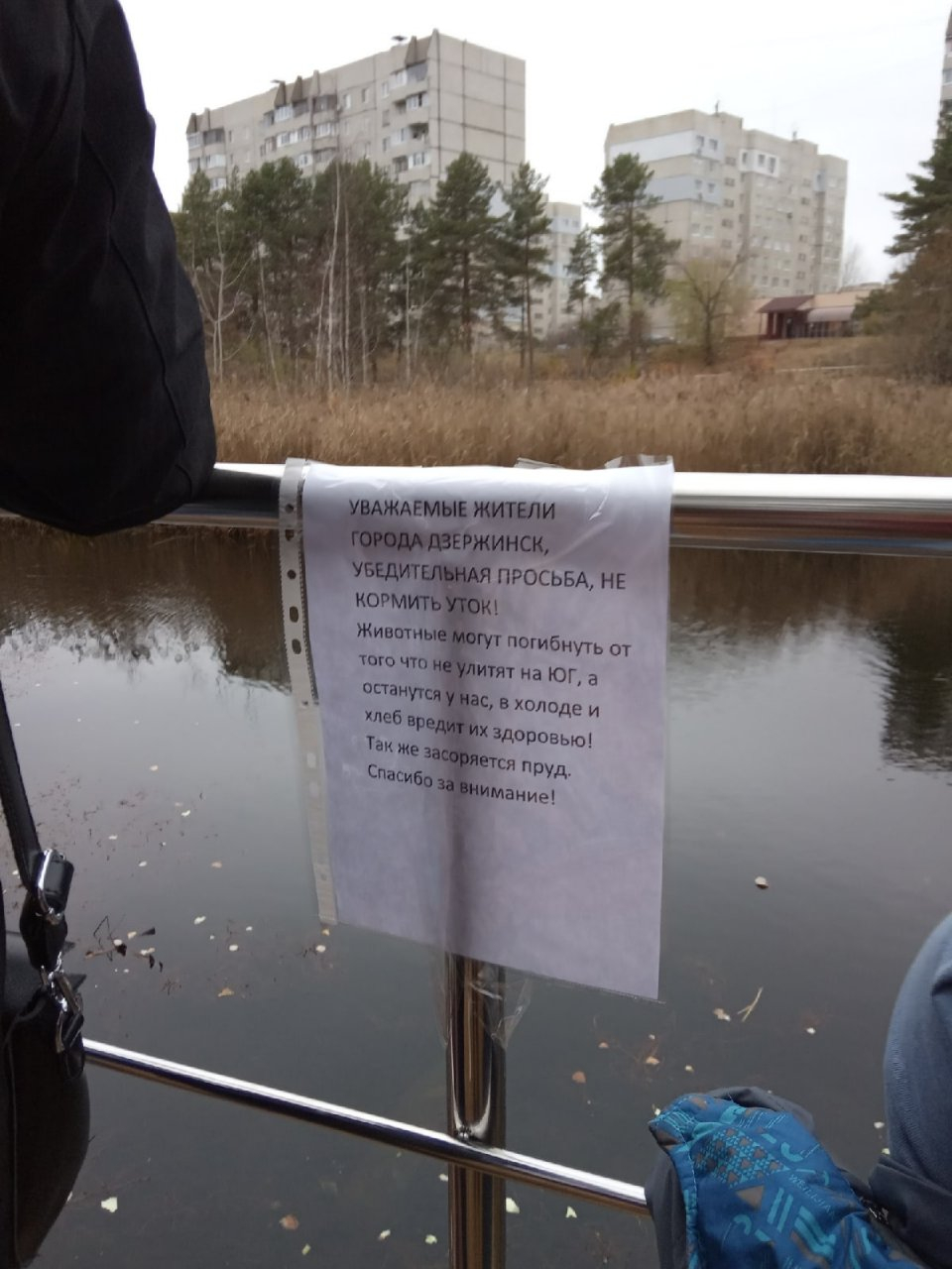 В парке Утиное озеро повесили первые объявления с просьбой не кормить птиц