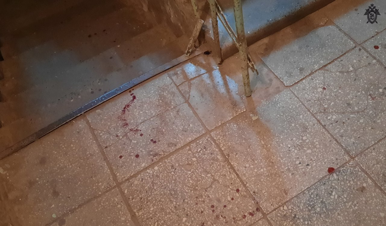 Житель Нижегородской области пытался убить знакомого, обидевшего его жену