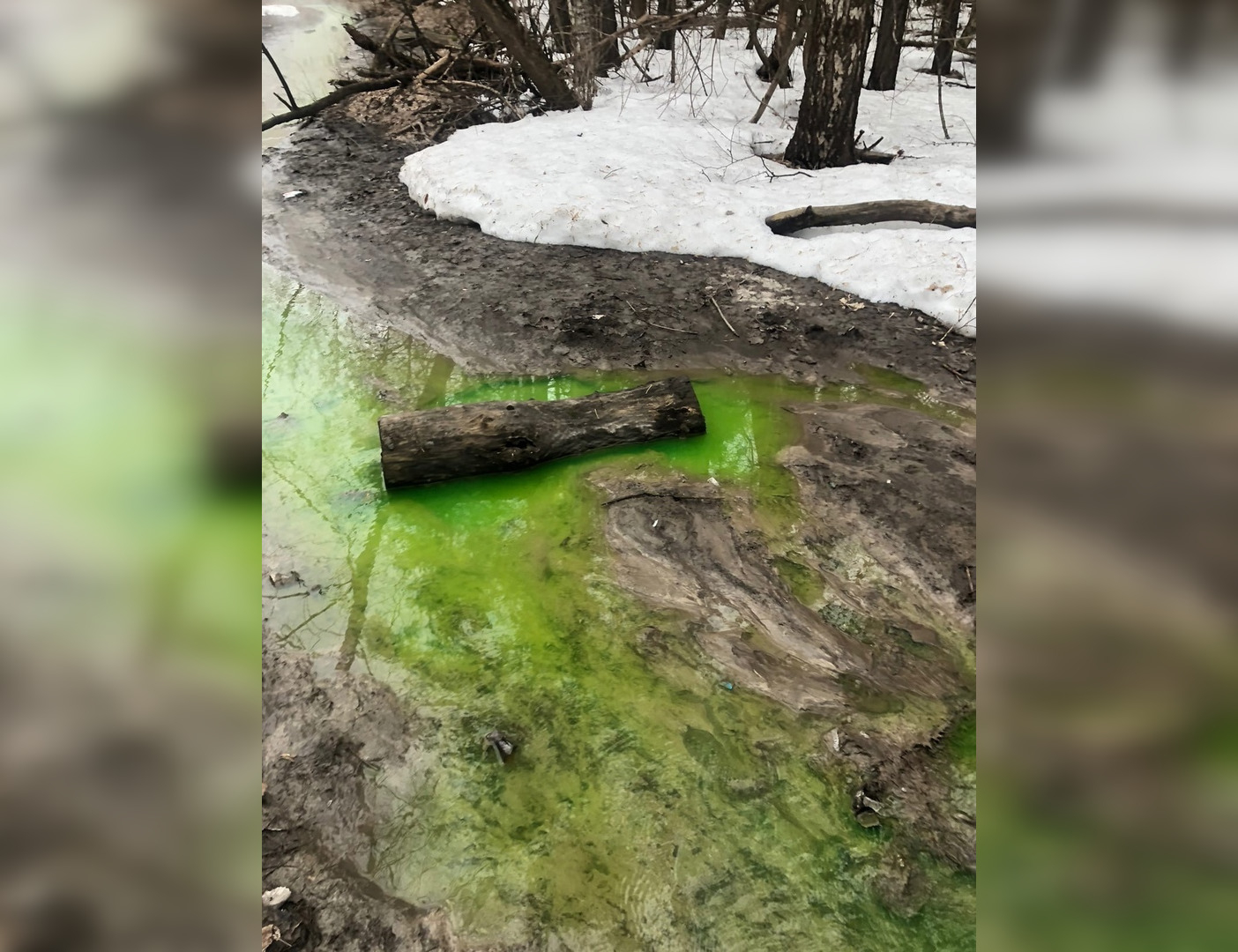 В Дзержинске заметили ярко-зеленую реку