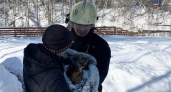 Пожарные спасли двух котов из огня в Нижегородской области