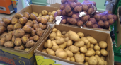 Иностранцы внезапно полюбили нижегородскую картошку
