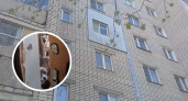 В Дзержинске женщина выбросила из окна 5 этажа несколько собак