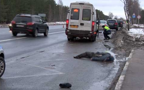 Смертельный маршрут: в Дзержинске междугородняя маршрутка насмерть сбила мужчину