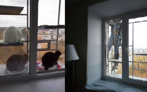 Жительница Дзержинска пристроила к квартире балкон для своих котов