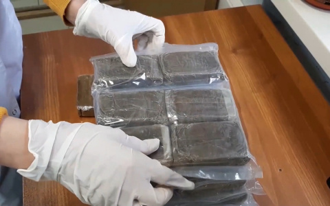 Семейная пара  привезла 5 кг наркотиков в Нижегородскую область, не зная об этом